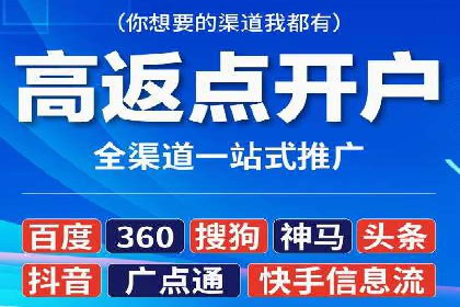 SEM广告投放中的数据监控与调整策略——以某品牌营销案例为例
